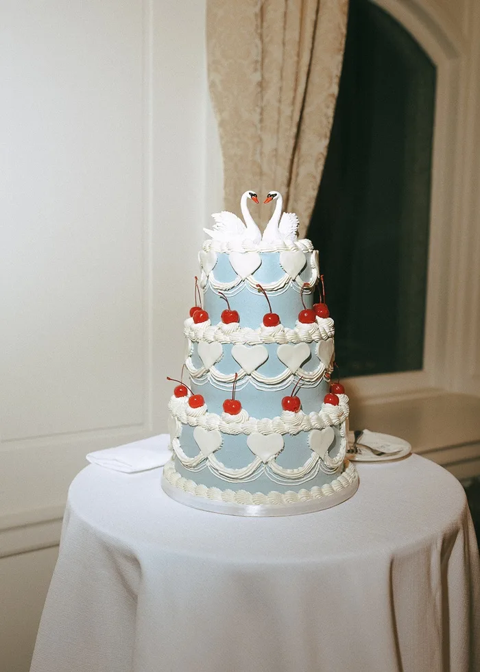 The blue swan cake with cherries